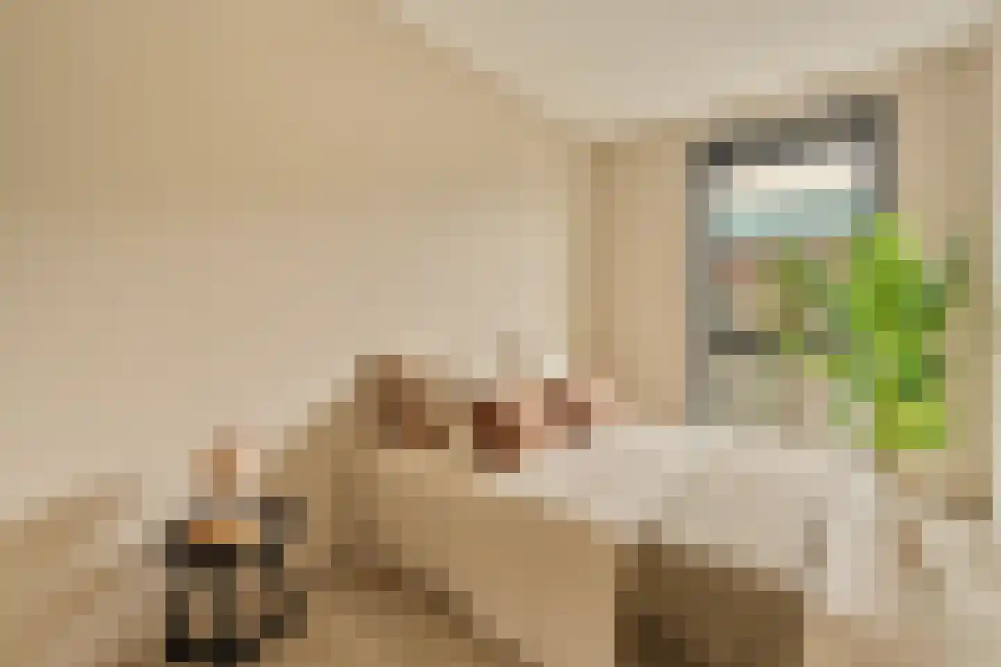 Tollensstraat 53 G Amsterdam thumbnail 20