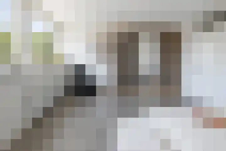 Tollensstraat 55 Oss thumbnail 16