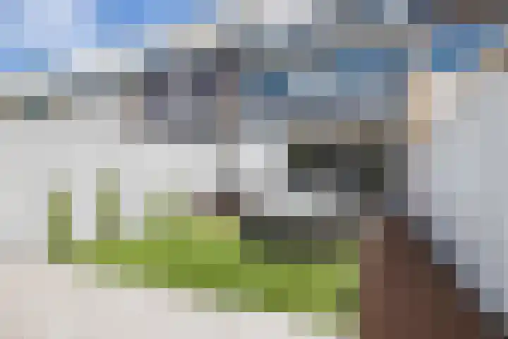 Tollensstraat 55 Oss thumbnail 23