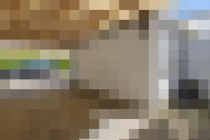Tollensstraat 55 Oss thumbnail 27