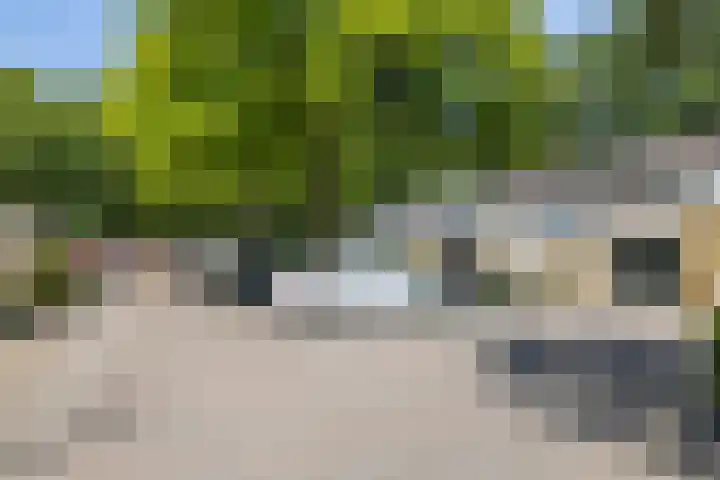 Tollensstraat 55 Oss thumbnail 31
