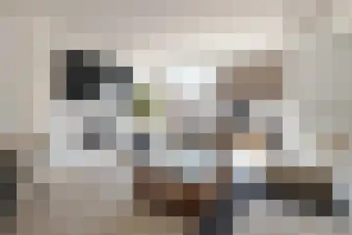 Tollensstraat 55 Oss thumbnail 6