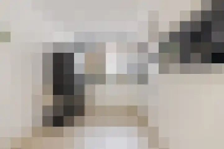 Tollensstraat 55 Oss thumbnail 7