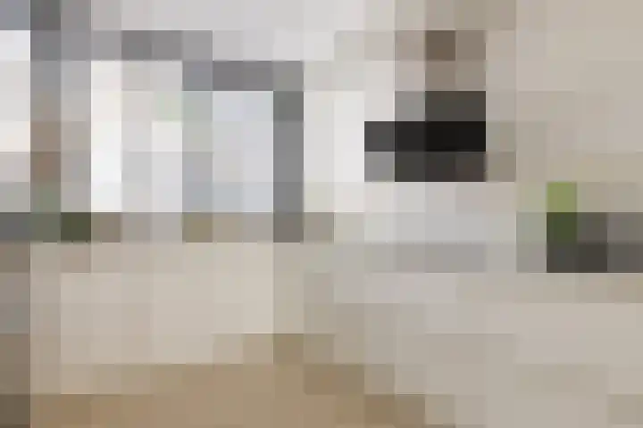 Tollensstraat 55 Oss thumbnail 9