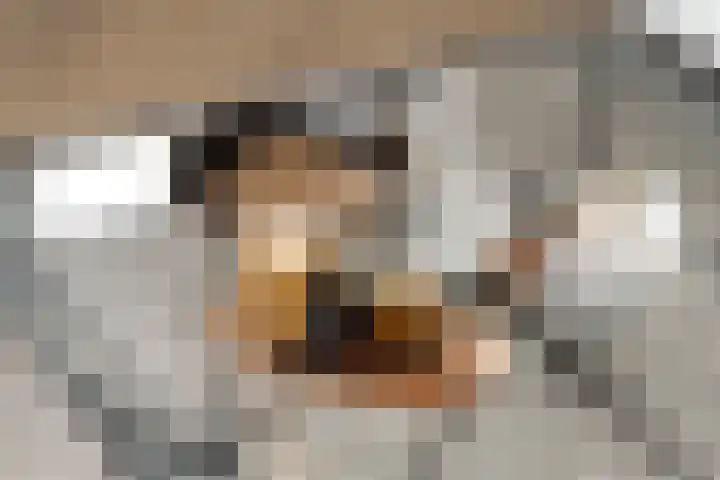 Tollensstraat 55 V Amsterdam thumbnail 5