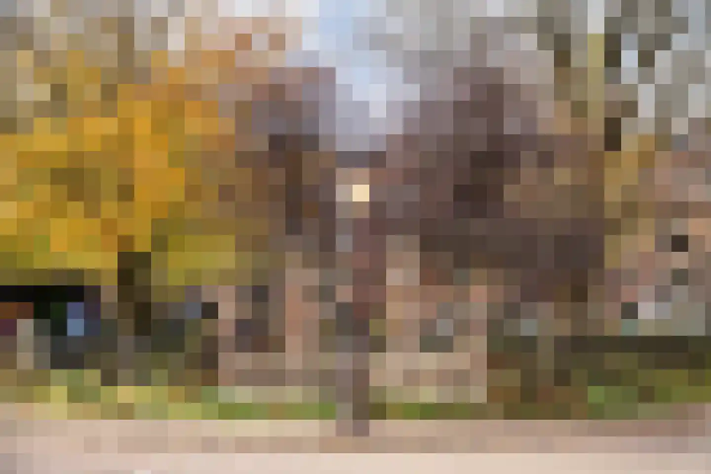 Tollensstraat 57 X Amsterdam thumbnail 34