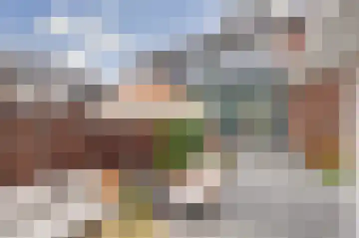Tollensstraat 6 Papendrecht thumbnail 33