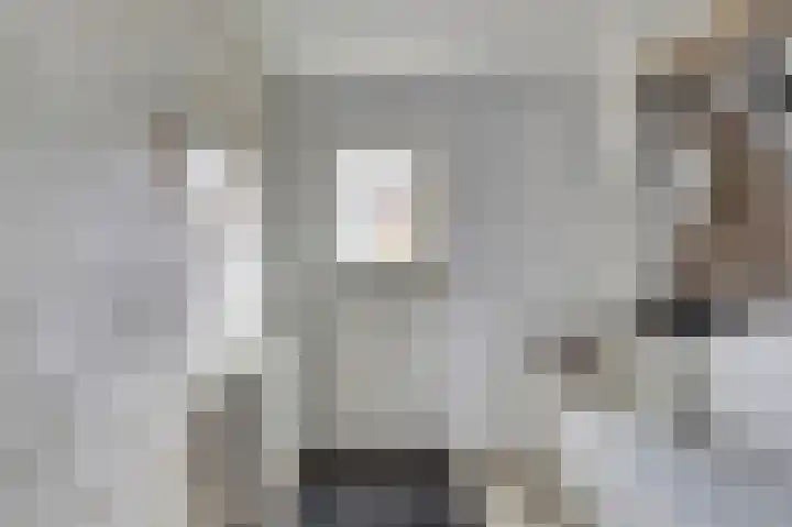 Tollensstraat 6 Papendrecht thumbnail 5