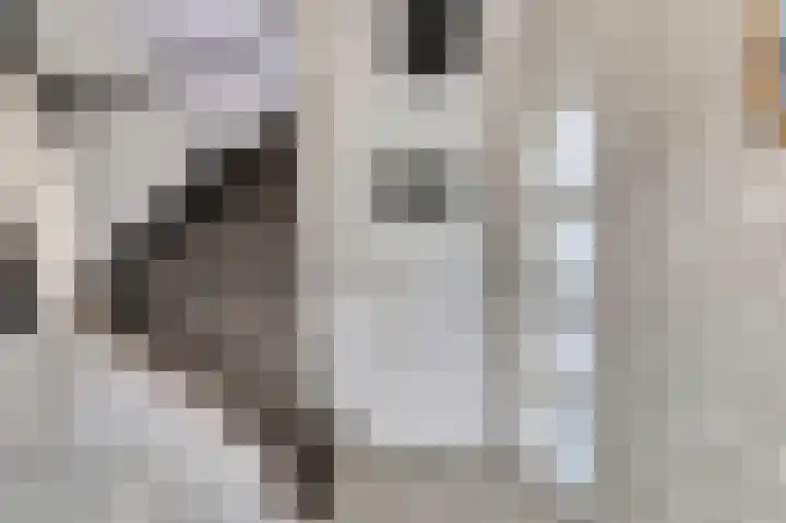 Tollensstraat 6 Papendrecht thumbnail 7
