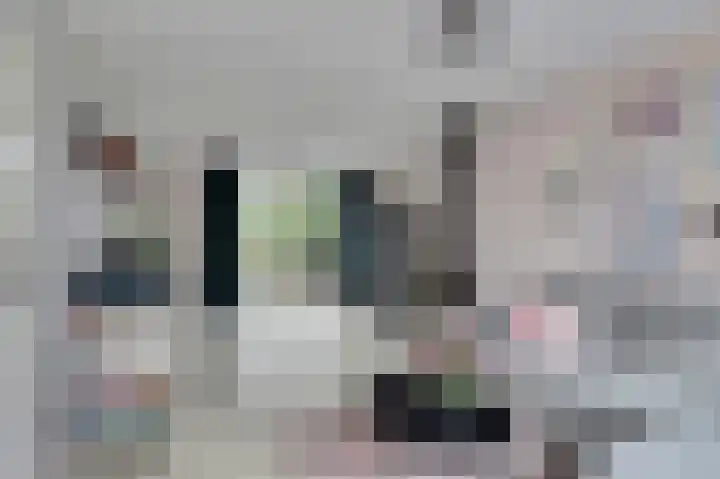 Tollensstraat 6 Papendrecht thumbnail 8