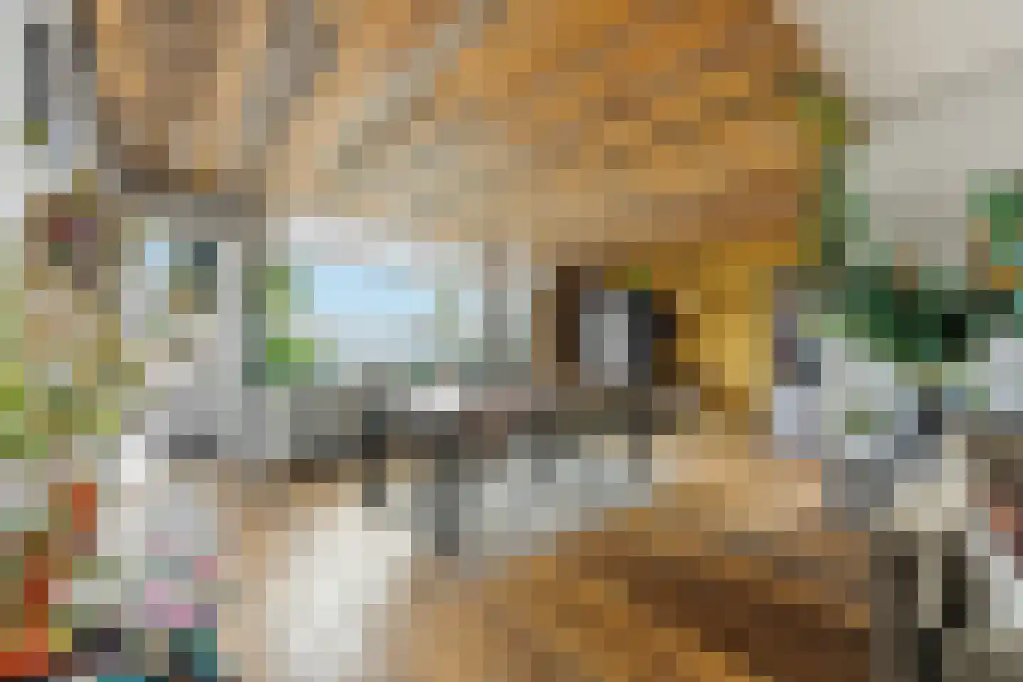 Tollensstraat 6 Vlaardingen thumbnail 10