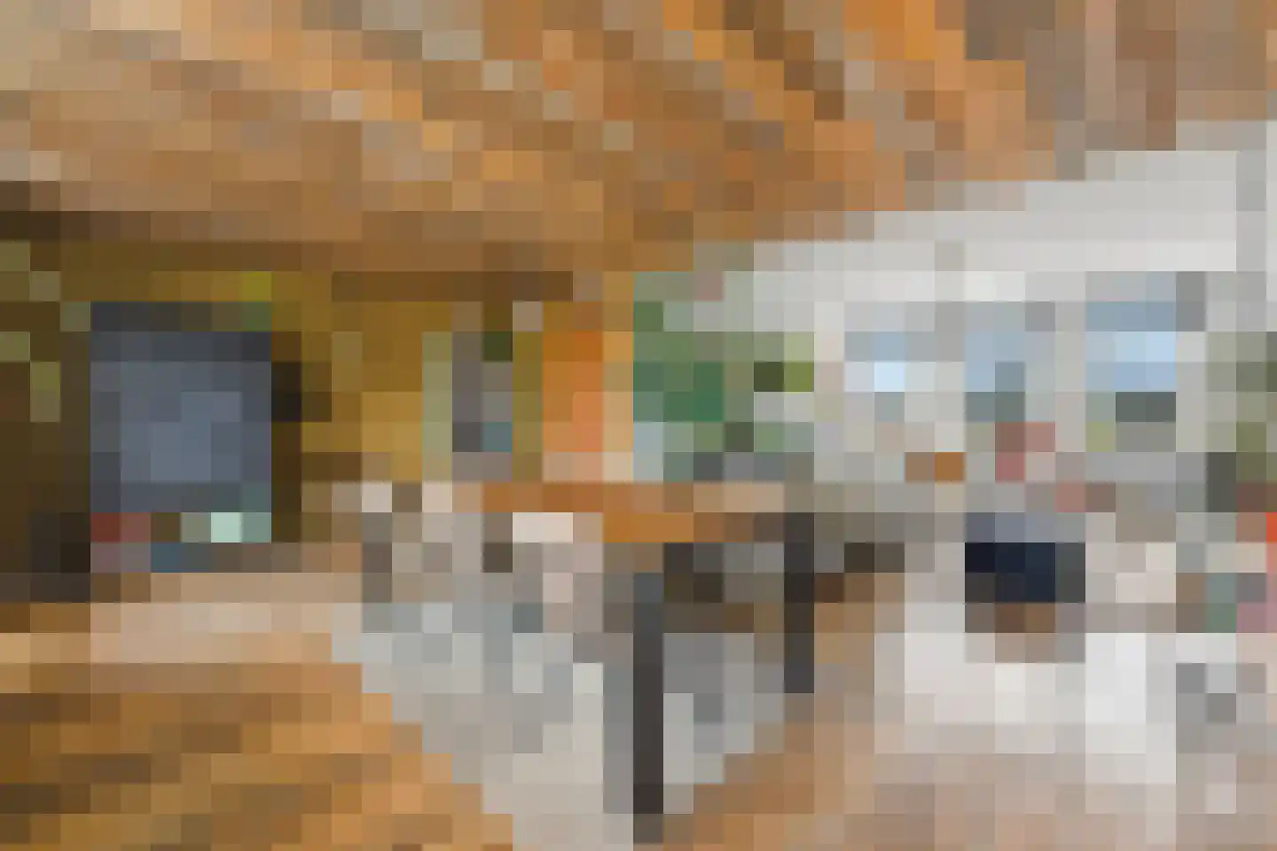 Tollensstraat 6 Vlaardingen thumbnail 13