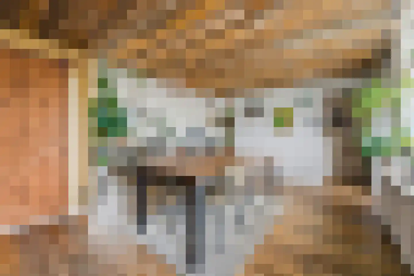 Tollensstraat 6 Vlaardingen thumbnail 14
