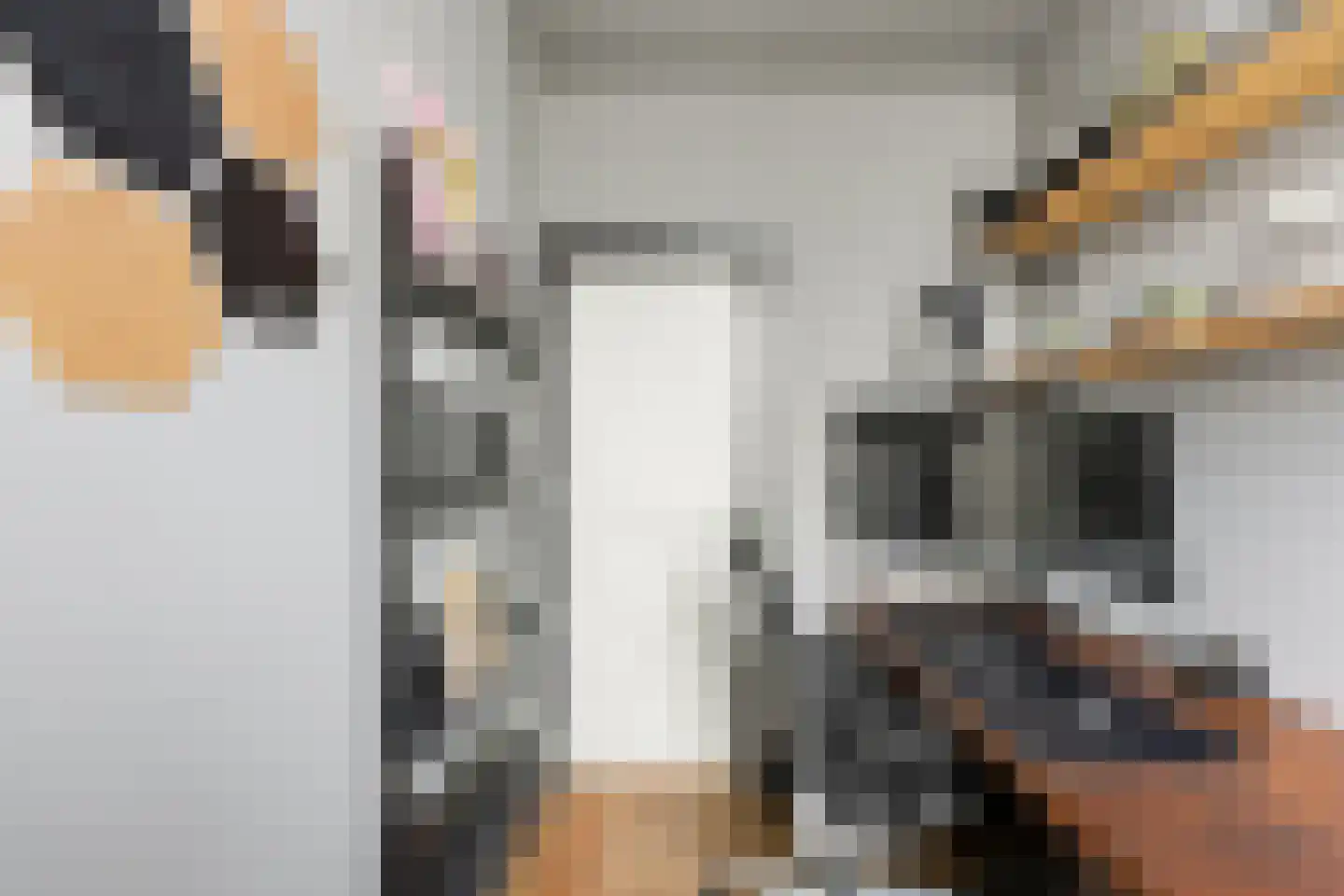 Tollensstraat 6 Vlaardingen thumbnail 21