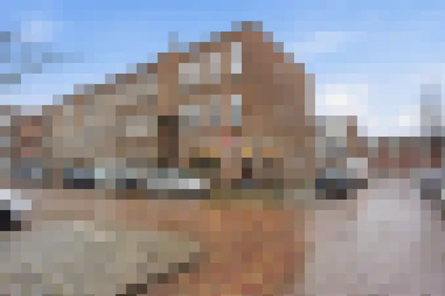 Tollensstraat 6 Vlaardingen thumbnail 50
