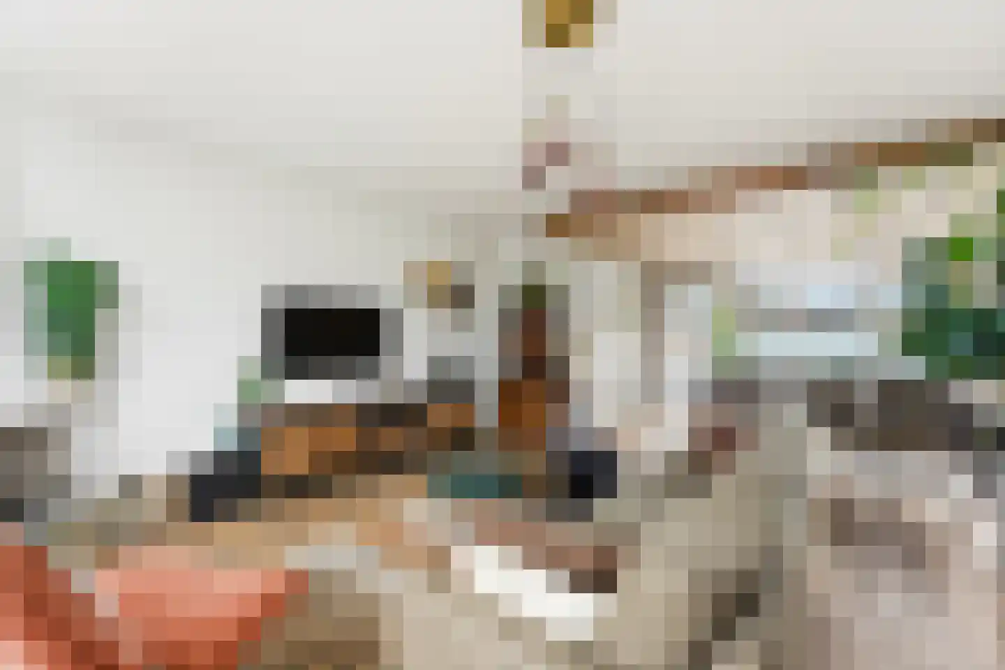 Tollensstraat 6 Vlaardingen thumbnail 7