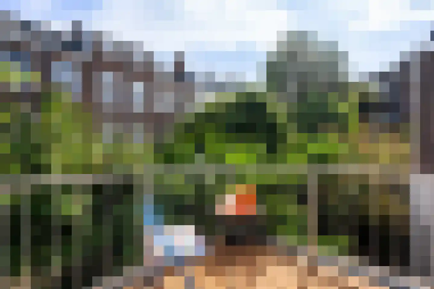 Tollensstraat 61 Den Haag thumbnail 5