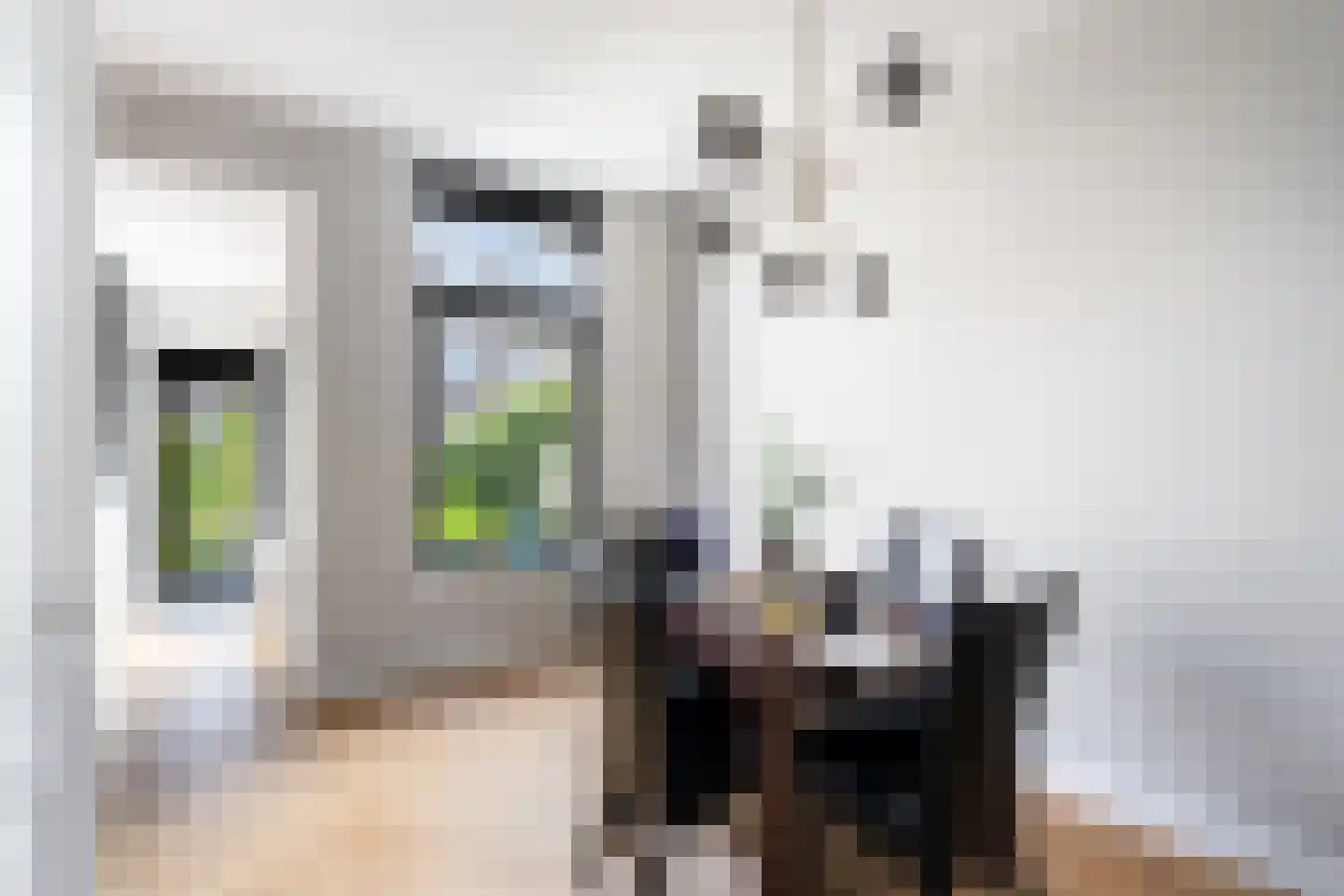 Tollensstraat 61 Den Haag thumbnail 8