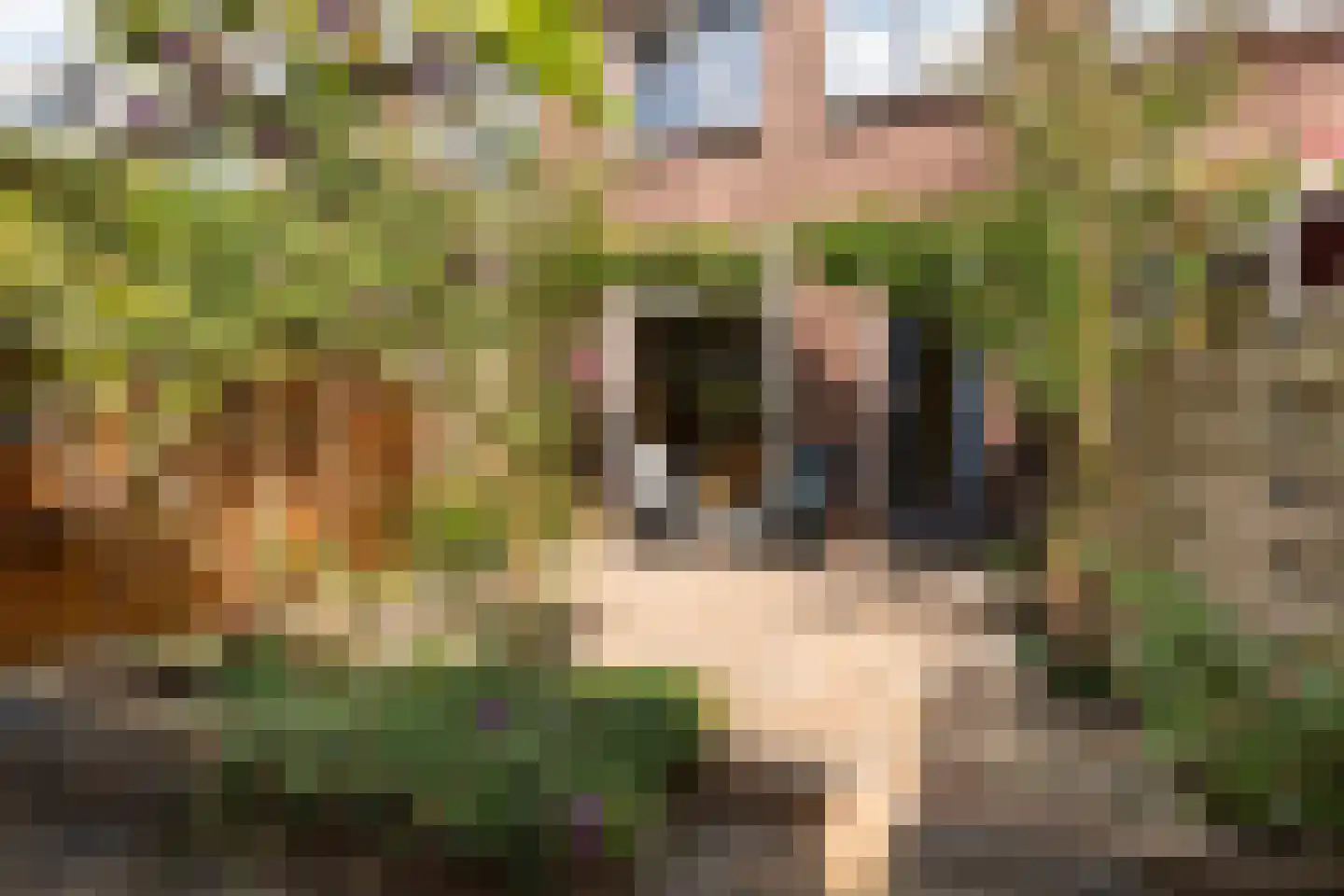 Tollensstraat 61 Gouda thumbnail 19