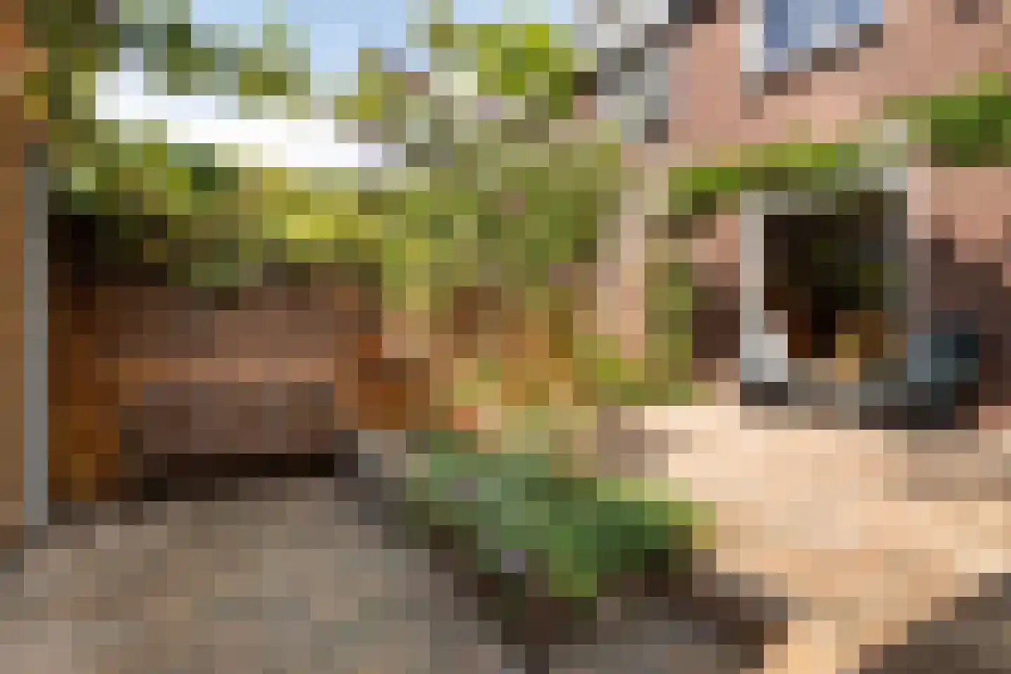 Tollensstraat 61 Gouda thumbnail 20