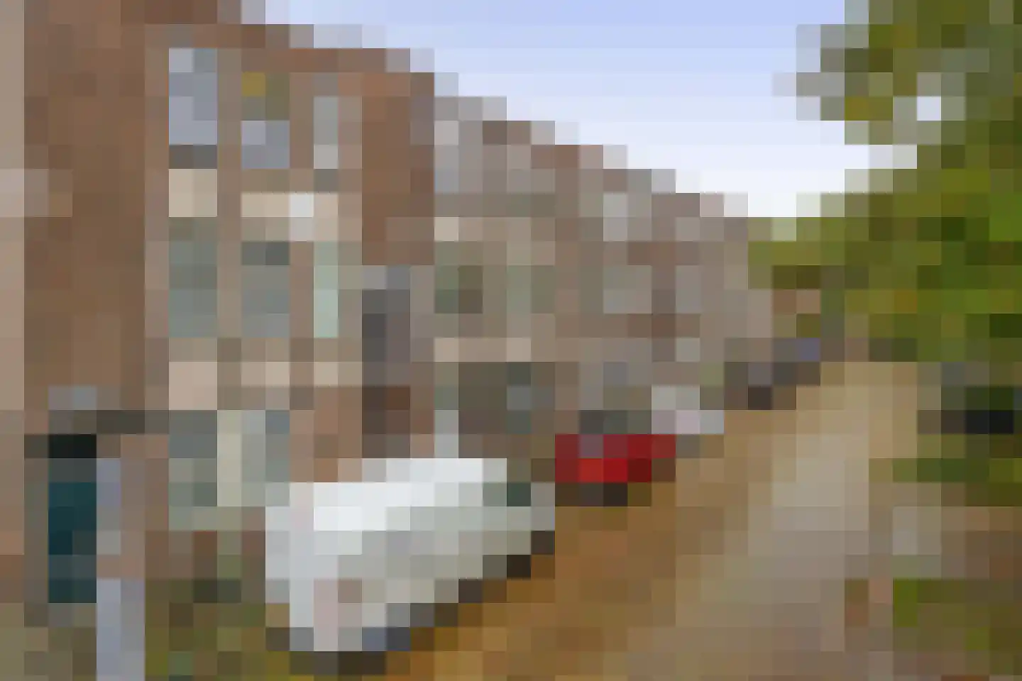 Tollensstraat 64 Vlaardingen thumbnail 11