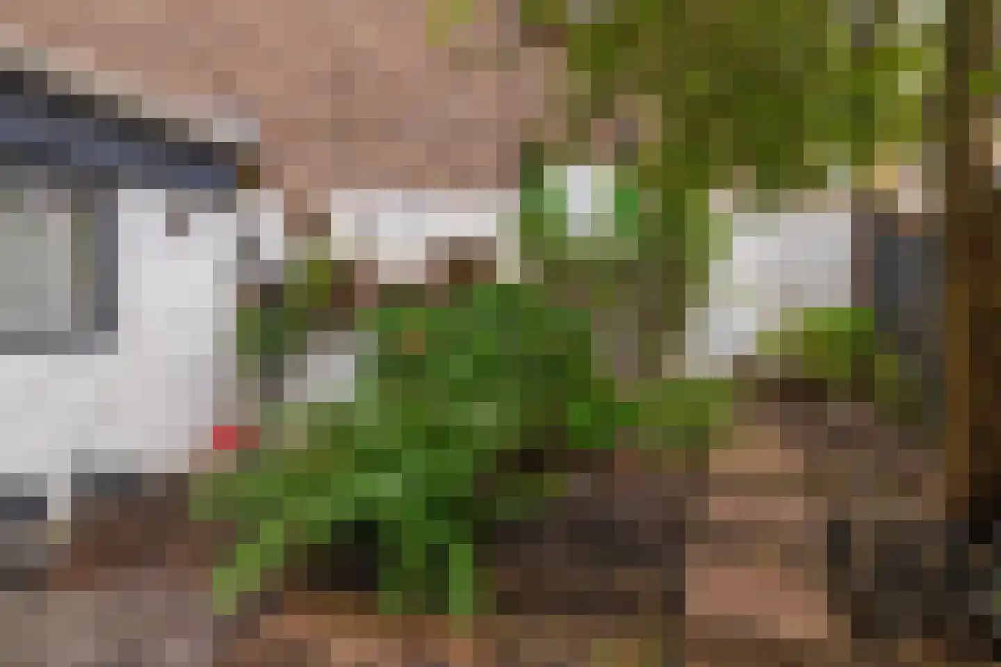 Tollensstraat 64 Vlaardingen thumbnail 40