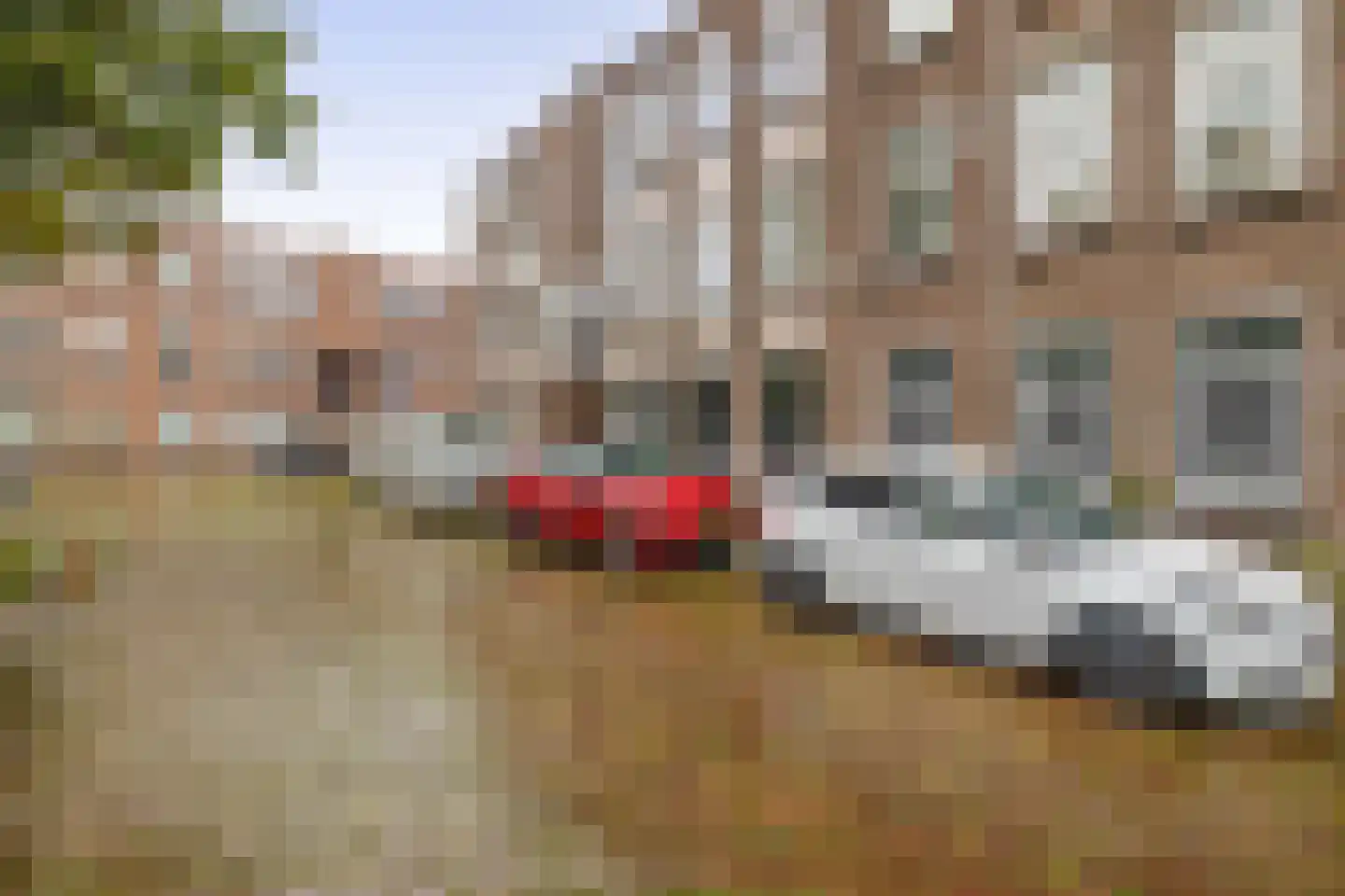 Tollensstraat 64 Vlaardingen thumbnail 8