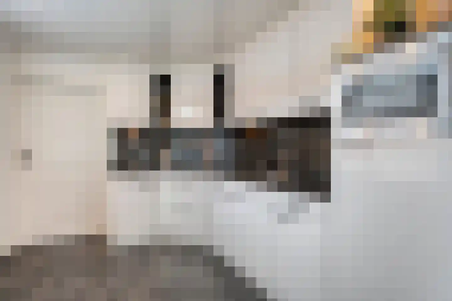 Tollensstraat 7 Nijverdal thumbnail 15