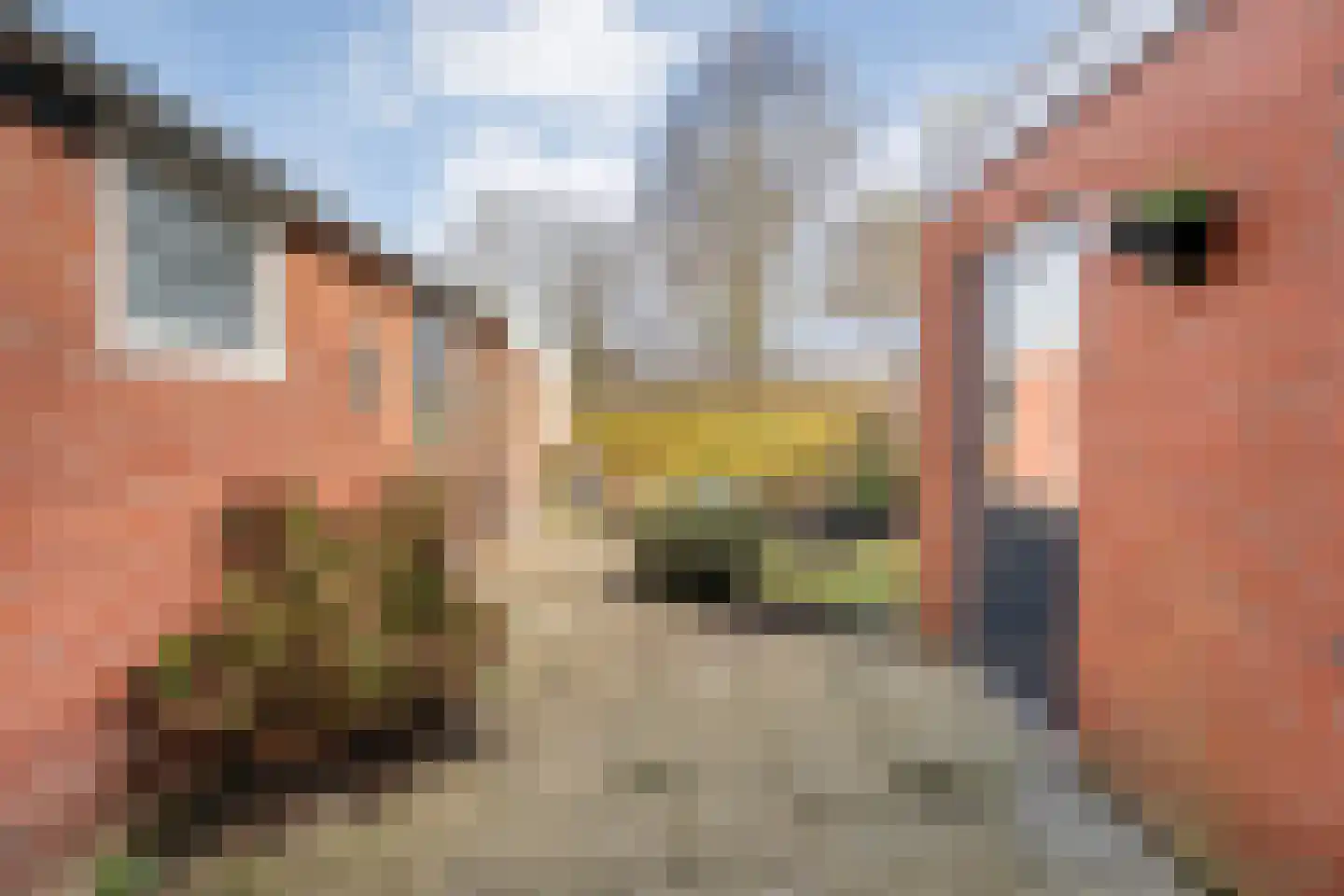 Tollensstraat 7 Nijverdal thumbnail 28