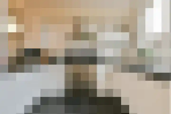 Tollensstraat 7 Spijkenisse thumbnail 10