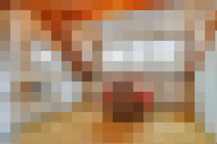 Tollensstraat 7 Spijkenisse thumbnail 12
