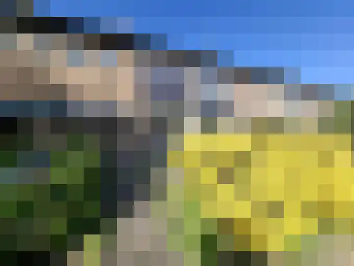 Tollensstraat 7 Spijkenisse thumbnail 19