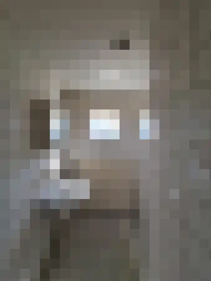 Tollensstraat 7 Spijkenisse thumbnail 9