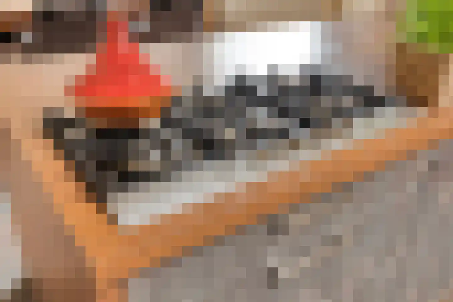 Tollensstraat 76 Oss thumbnail 15
