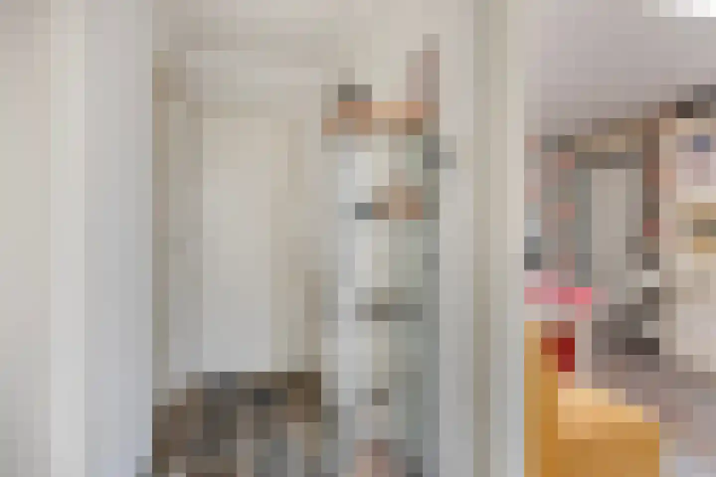 Tollensstraat 76 Oss thumbnail 18