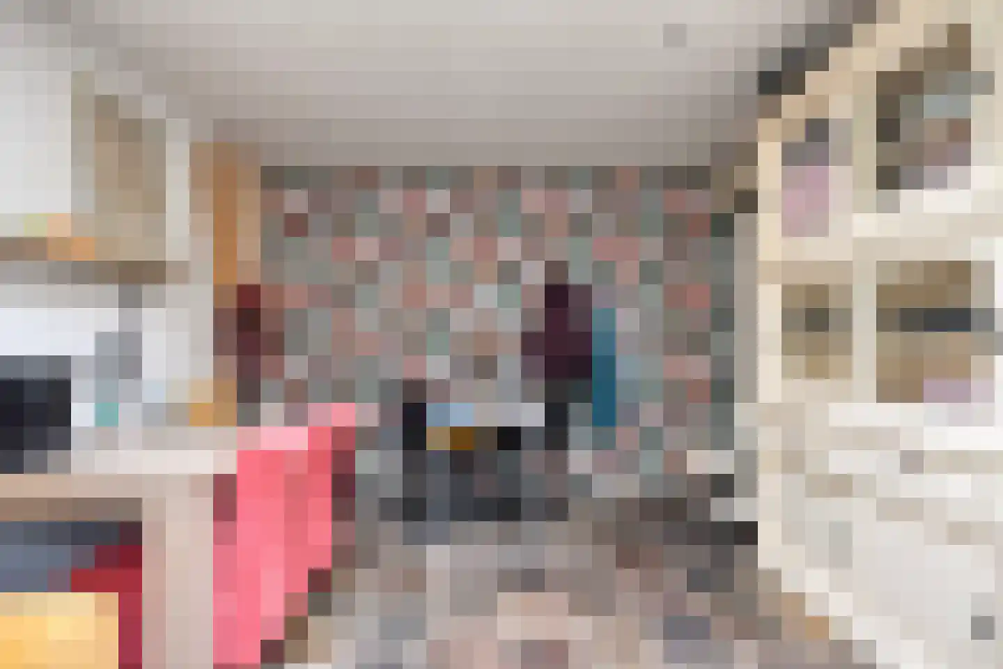 Tollensstraat 76 Oss thumbnail 20
