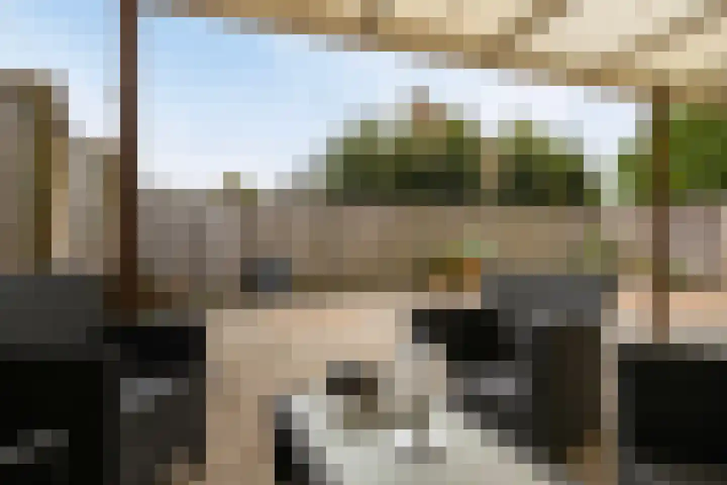 Tollensstraat 76 Oss thumbnail 4