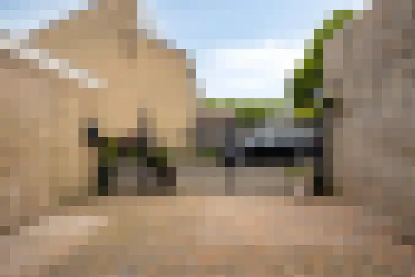 Tollensstraat 76 Oss thumbnail 40