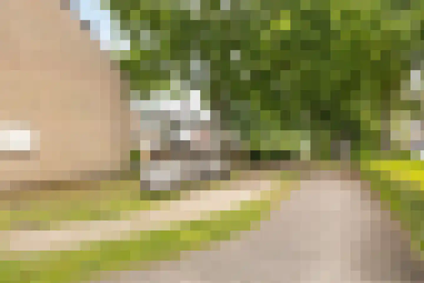 Tollensstraat 76 Oss thumbnail 45