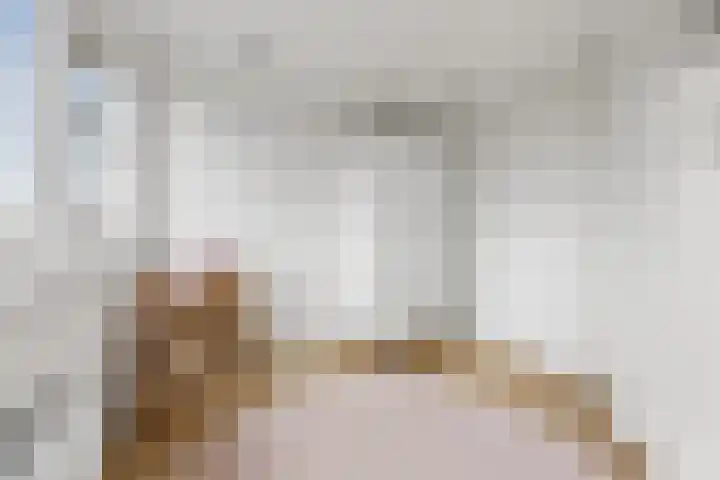 Tollensstraat 78 Putten thumbnail 37
