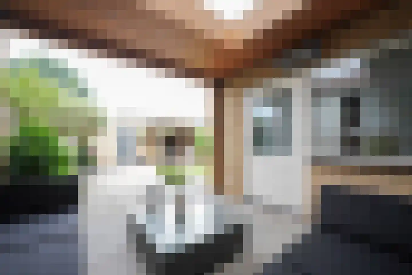 Tollensstraat 96 Putten thumbnail 29