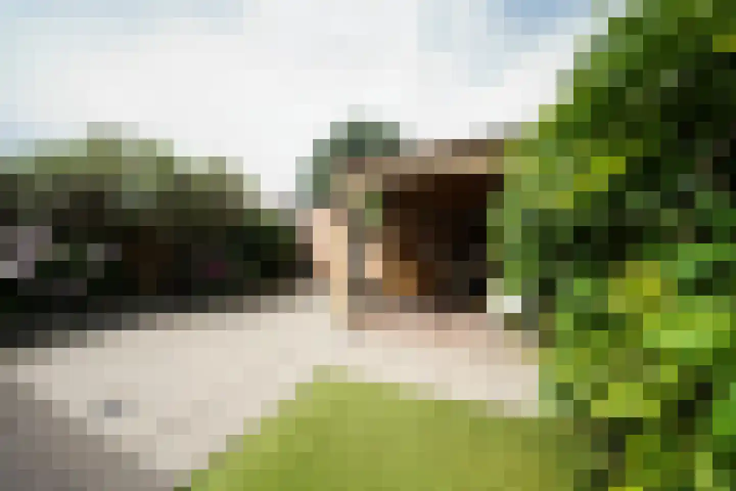 Tollensstraat 96 Putten thumbnail 34