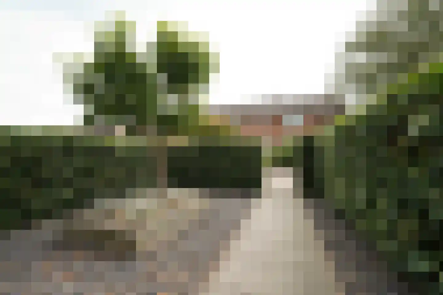 Tollensstraat 96 Putten thumbnail 6