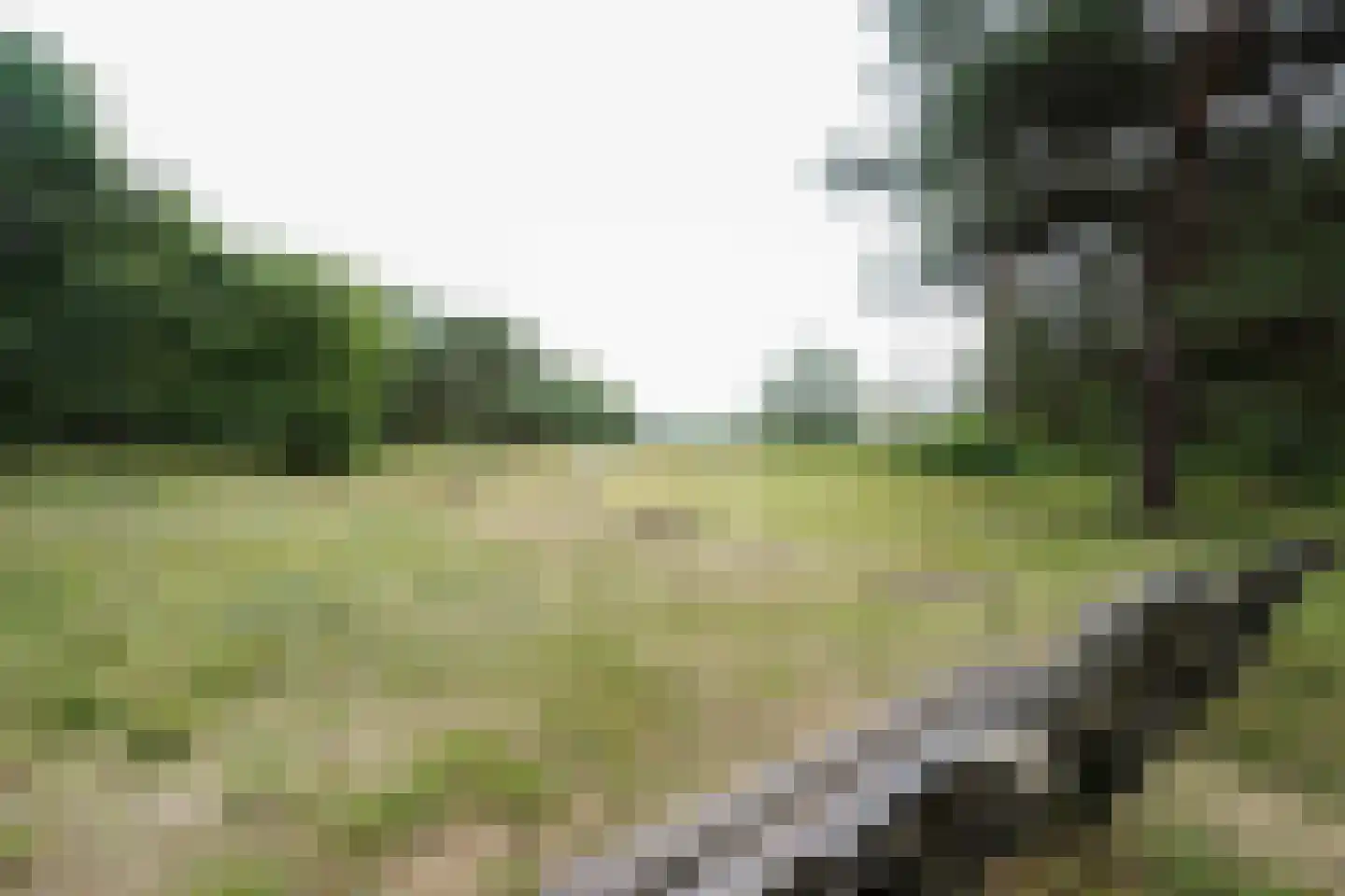 Tollensstraat 96 Putten thumbnail 62