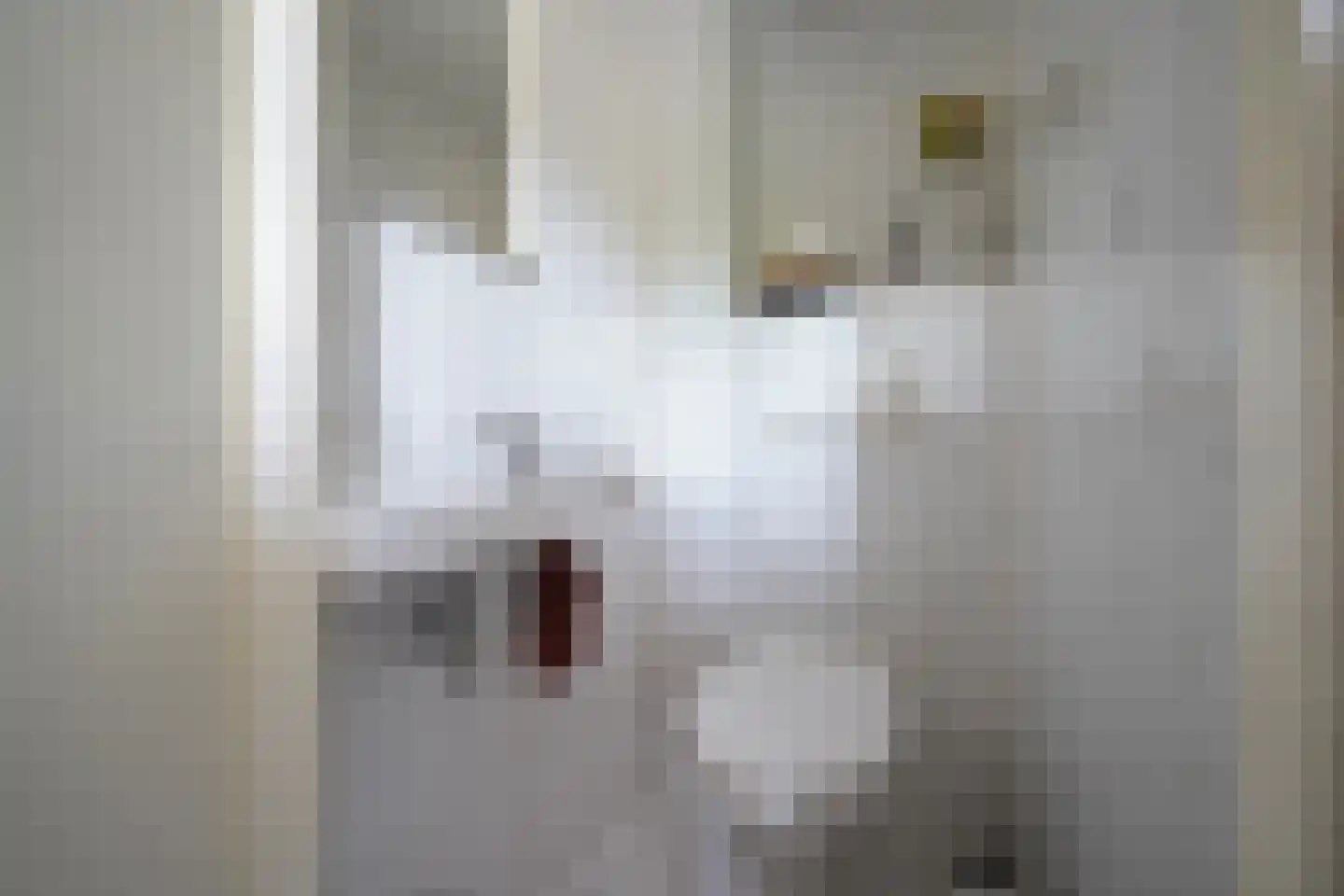 Tollensstraat 96 Putten thumbnail 9