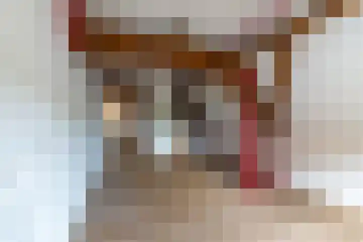 Tollenstraat 19 Culemborg thumbnail 38