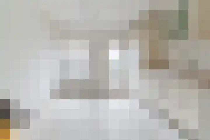 Tollenstraat 21 Culemborg thumbnail 17