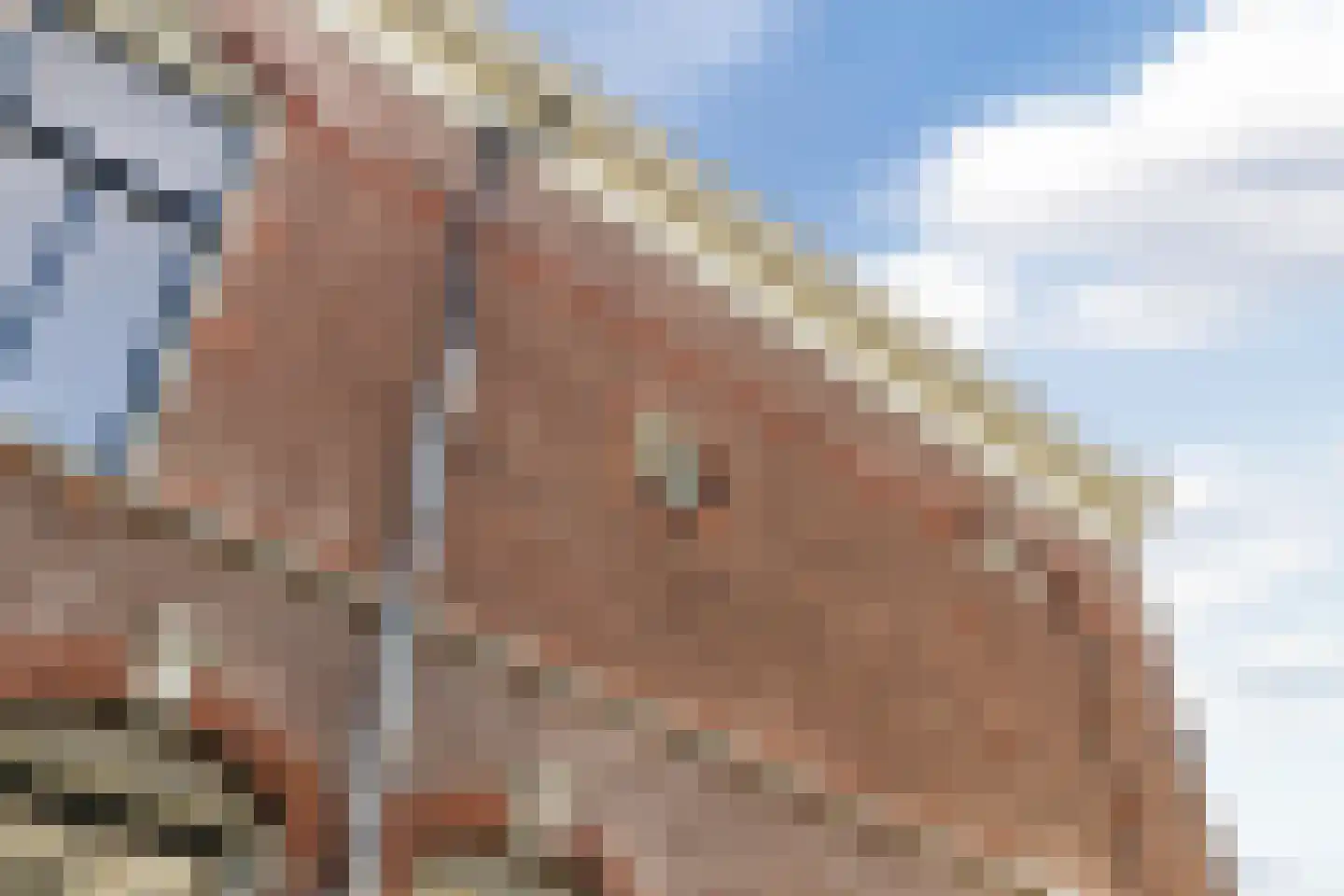 Tollenstraat 39 a Culemborg thumbnail 32