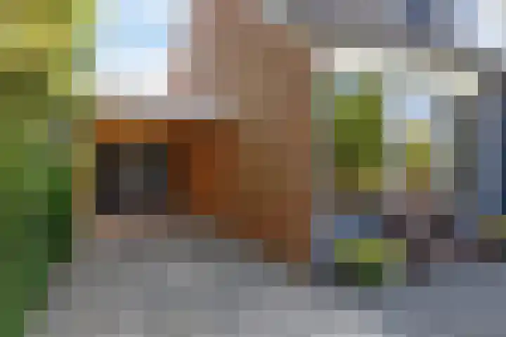 Tollewei 27 Heeg thumbnail 10