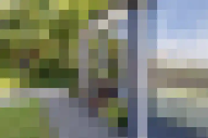 Tollewei 27 Heeg thumbnail 12
